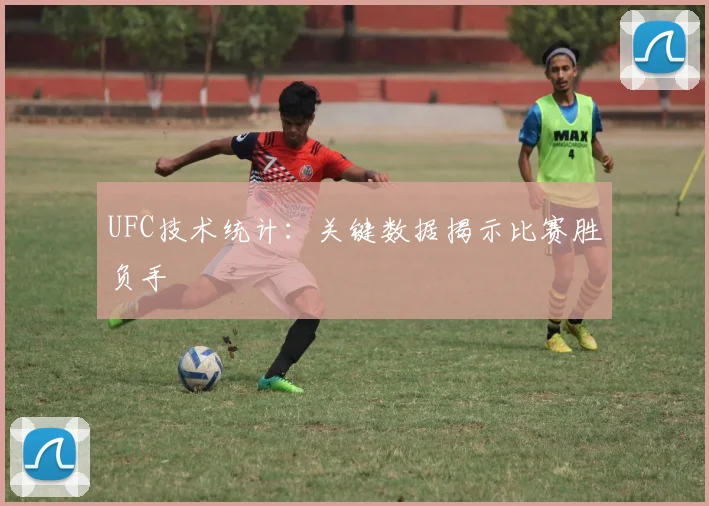 UFC技术统计:关键数据揭示比赛胜负手