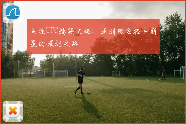 关注UFC精英之路:亚洲综合格斗新星的崛起之路