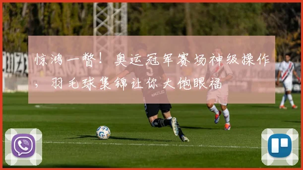 惊鸿一瞥！奥运冠军赛场神级操作，羽毛球集锦让你大饱眼福