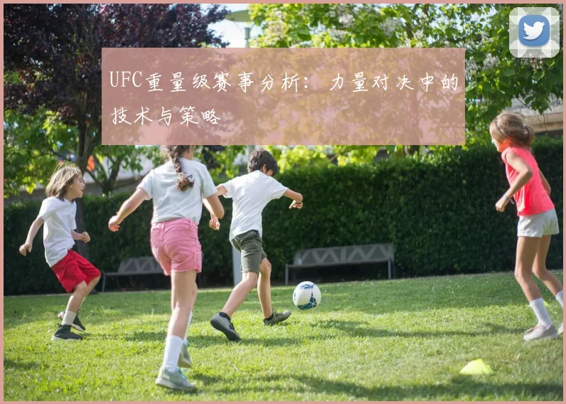 UFC重量级赛事分析：力量对决中的技术与策略