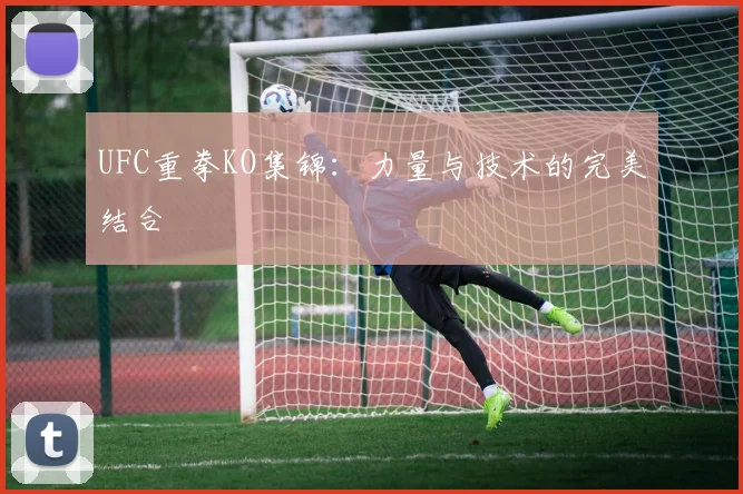 UFC重拳KO集锦:力量与技术的完美结合