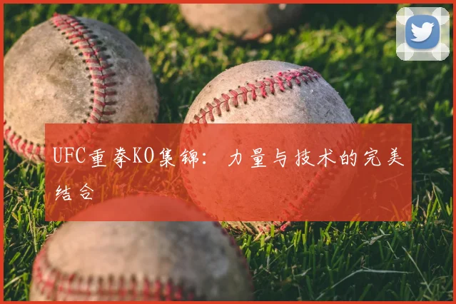 UFC重拳KO集锦：力量与技术的完美结合