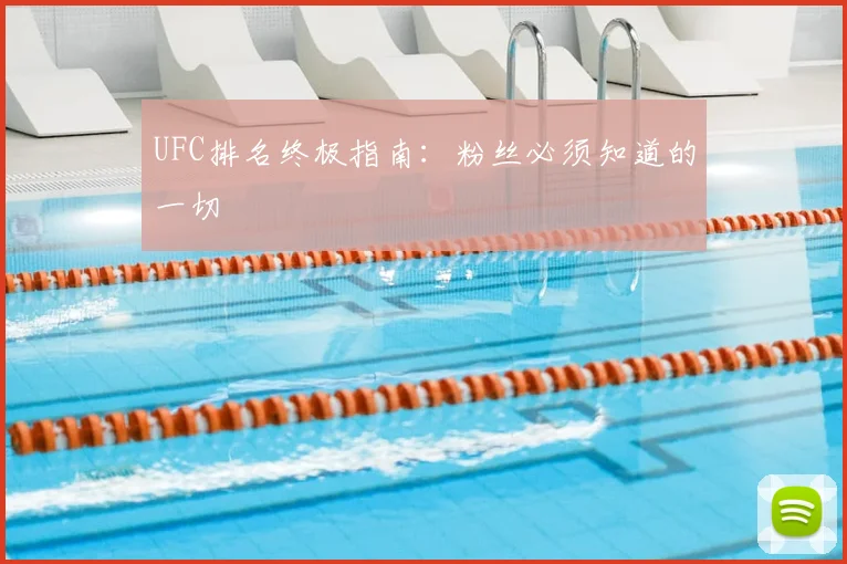 UFC排名终极指南：粉丝必须知道的一切