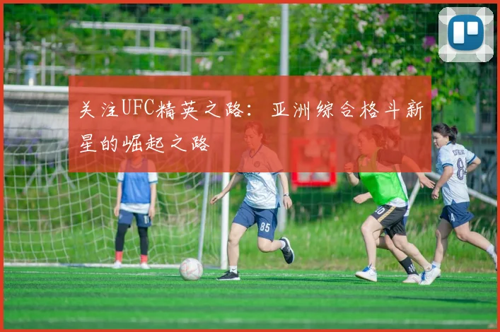 关注UFC精英之路:亚洲综合格斗新星的崛起之路