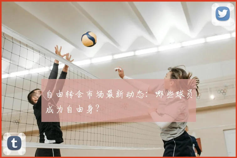 自由转会市场最新动态：哪些球员成为自由身？